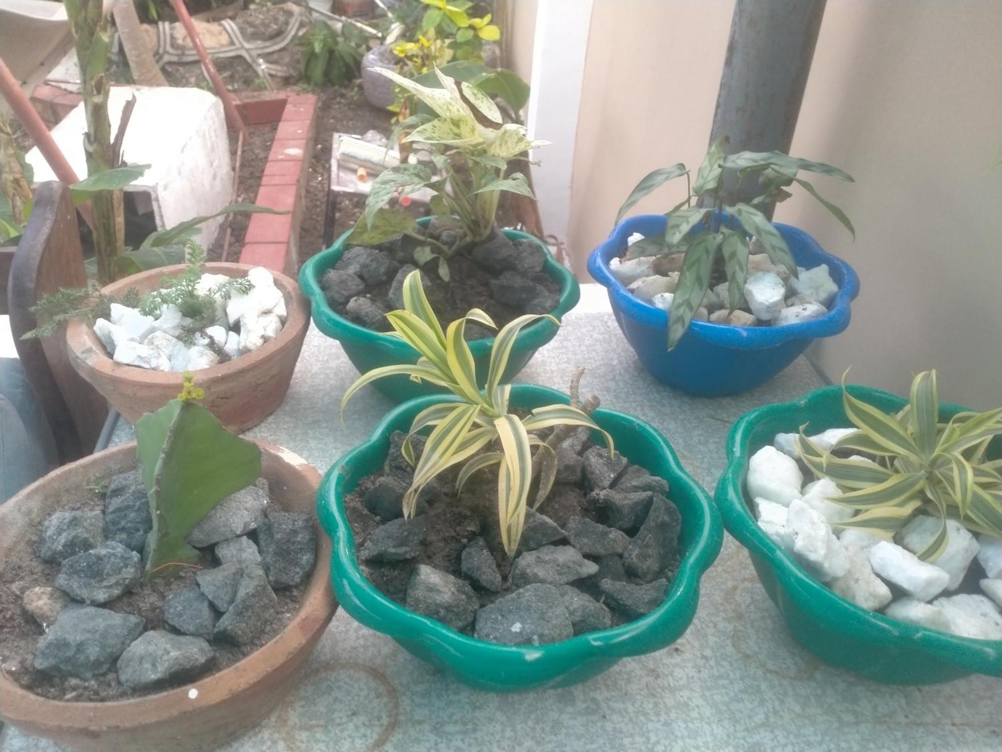 Babajay Family Home Dar es Salaam Zewnętrze zdjęcie